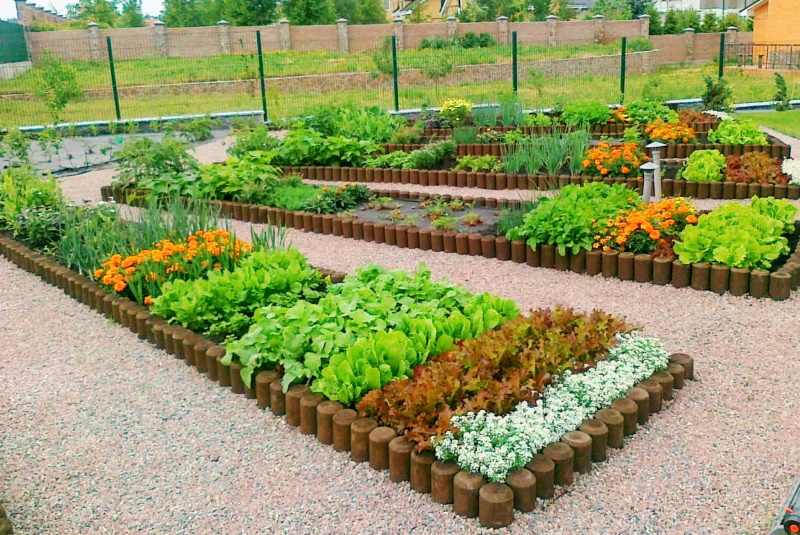 Декоративные огороды.