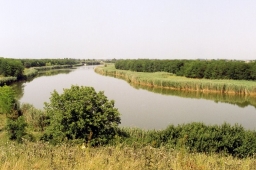 ​Калининский, Красноармейский и Динской районы Краснодарского края.